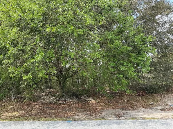 SW 40th Ter Lot 34, Ocala, FL 34473