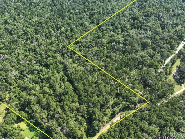 Lobell Rd, Livingston, LA 70754