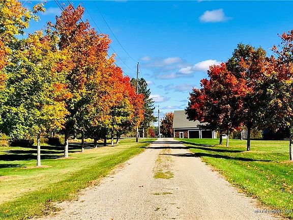 Tree-lined entrance to the property.