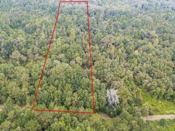 0 Willow Creek Dr, Oglethorpe, GA 31068