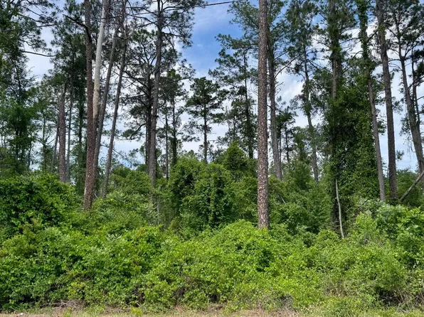 LOT 10 Maplewood Rd, Jasper, FL 32052