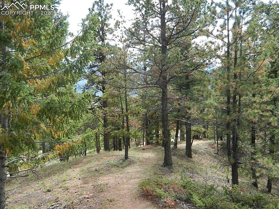 2nd image of 300 Thunder Ridge Dr
