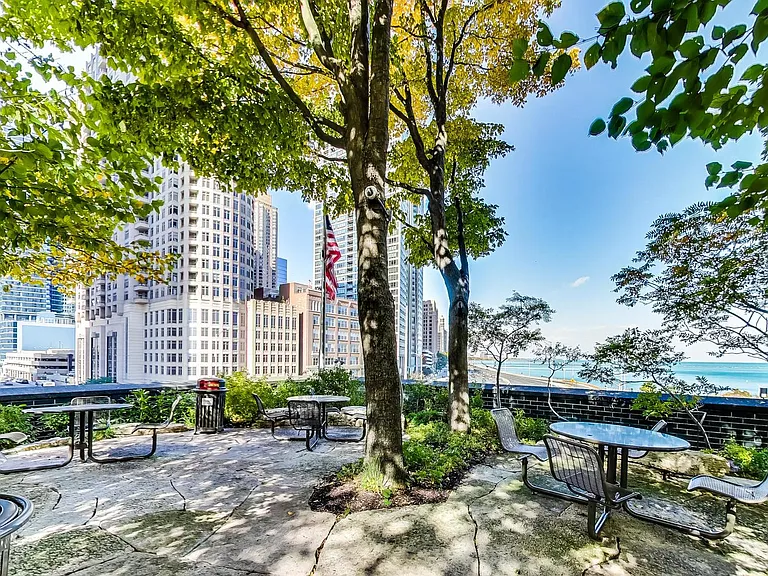 505 N Lake Shore Dr #2412 — Photo 39