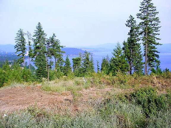 5th image of Baywoods Road