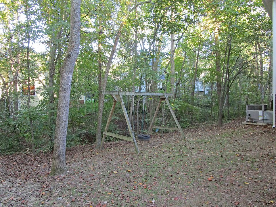 Wooded Backyard