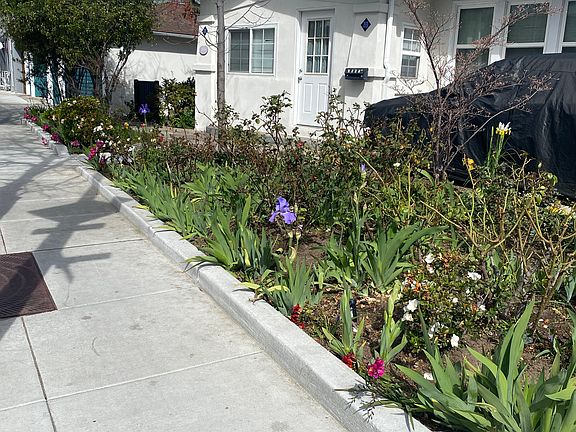 2nd image of 2091 El Camino Real #2091-A