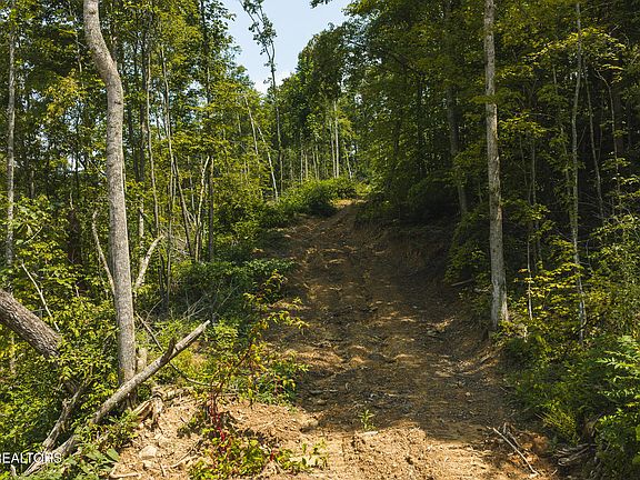 4th image of 0 Snake Hollow Rd