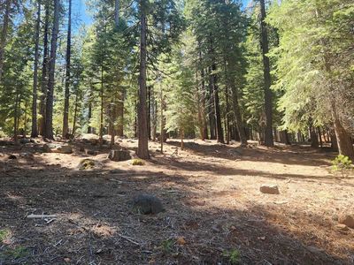 180 Slim Dr #2, Chester, CA, 96020