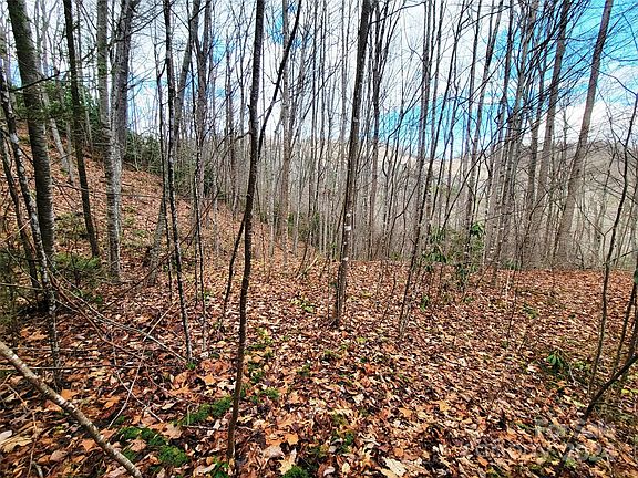4th image of 275 Sheila Dr #45t & 46t