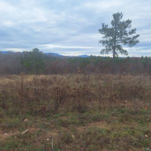 0 Fox Hall Dr, Amherst, VA, 24521