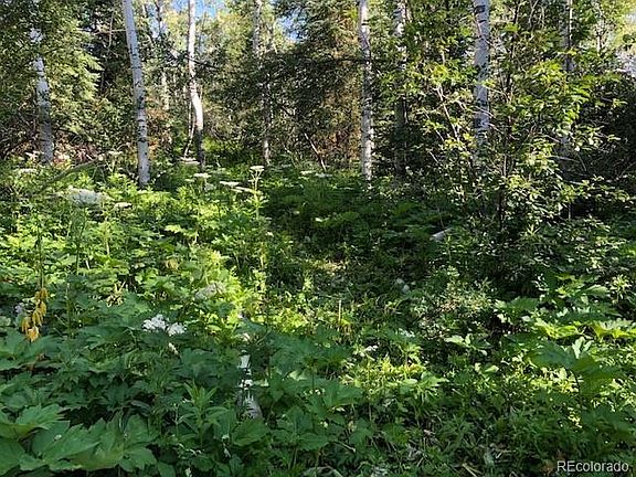 5th image of 30450 Elk Ln