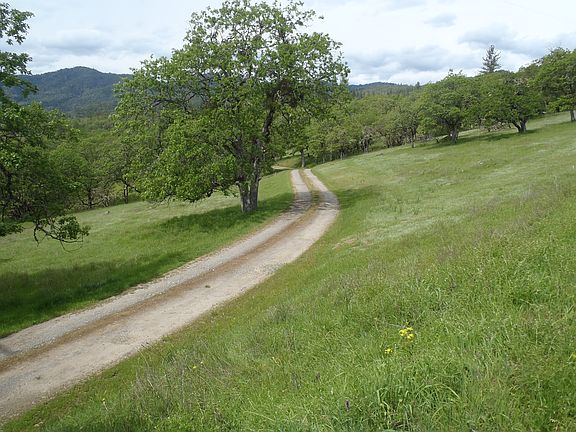 Beginning of driveway