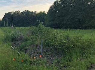 Tbd S Brewington Rd, Manning, SC 29102