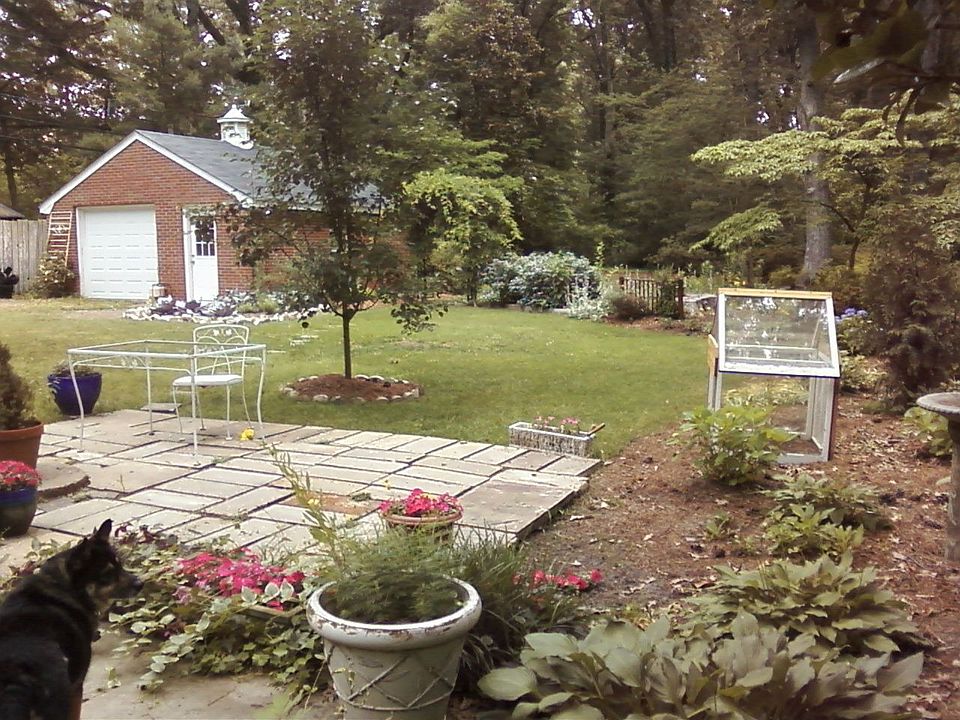 Back yard