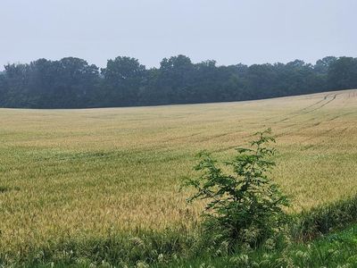 Lt3 BEULAH ROAD, Mukwonago, WI, 53149