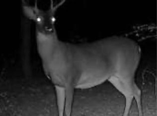 0 Highway 84 St, Prentiss, MS 39474