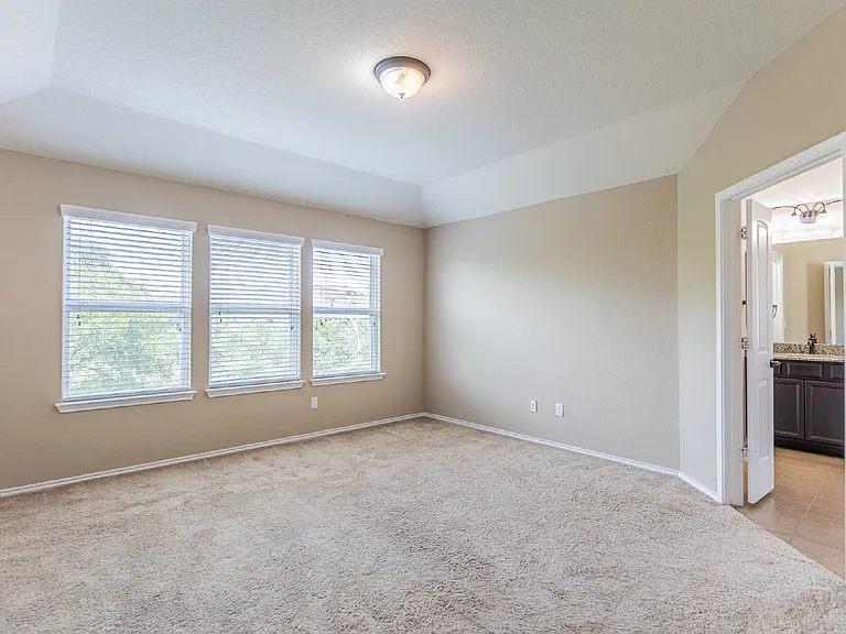 12939 Texas Gold — Photo 25