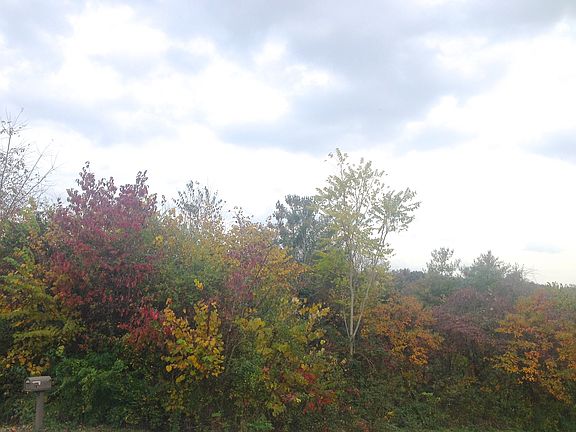 5th image of 2702 Lake Valley Dr