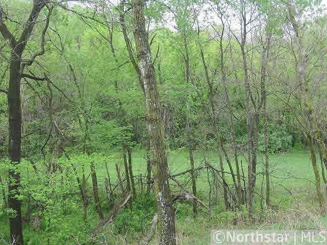 2nd image of 11 Acres on Willow Lane