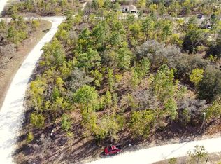 12410 Snow Goose Ave, Brooksville, FL 34614