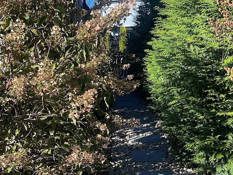 42 Reynolds Rd — Photo 27