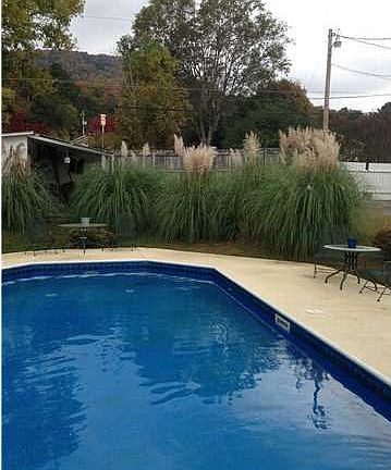 3rd image of 314 Locust Ave