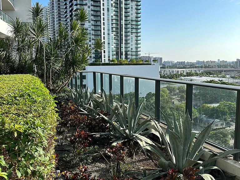 Terrace View