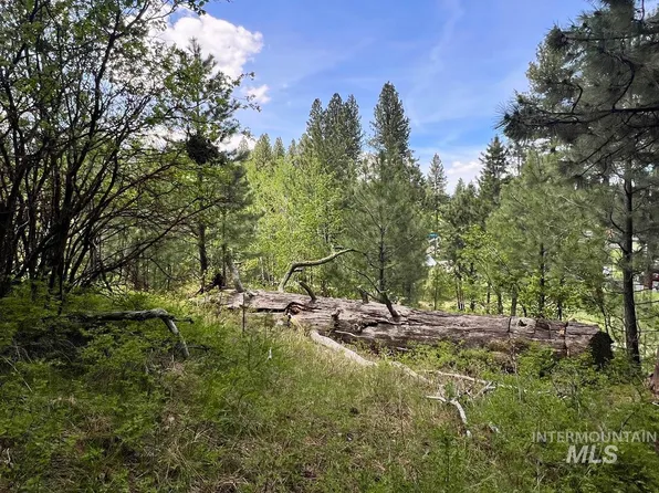 T75 Li Cabarton Rd, Cascade, ID 83611