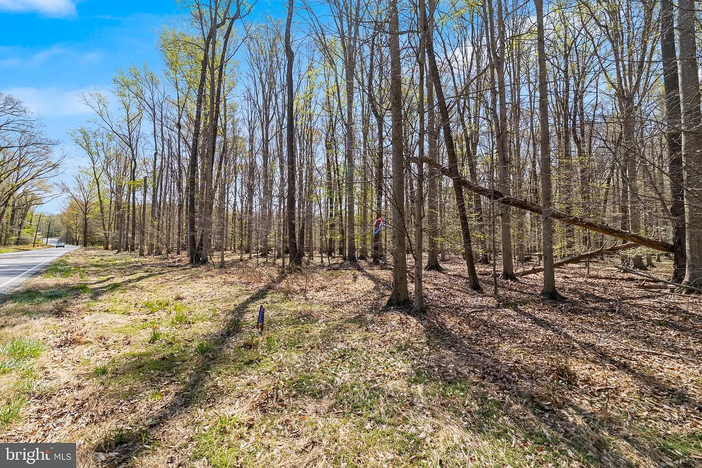 LOT 13 Billingsley Rd photo 1