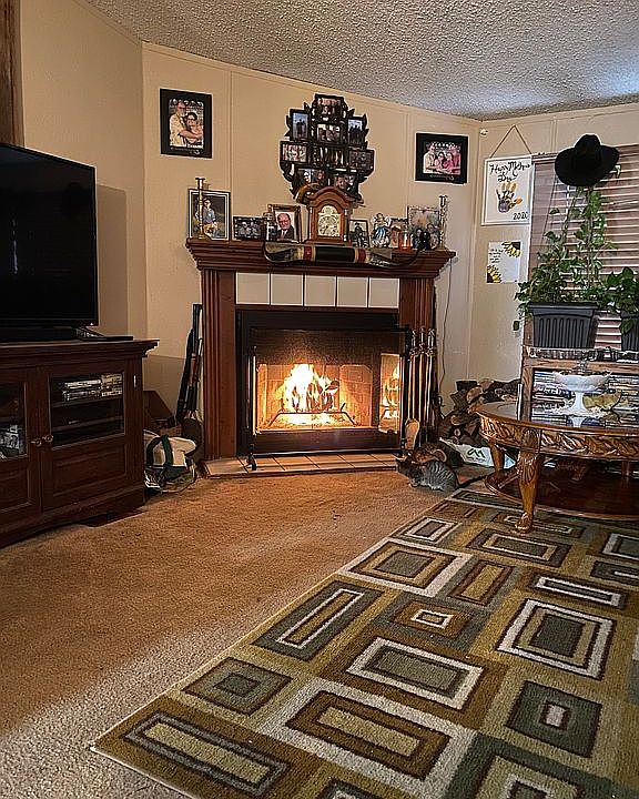 Living room Fireplace 
