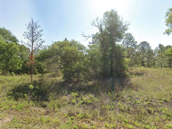 SW Floral Ct Lot 24, Dunnellon, FL 34431
