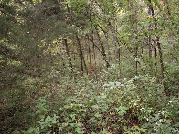 465/ACRE S Pendleton Lost Creek Rd, Warrenton, MO 63383