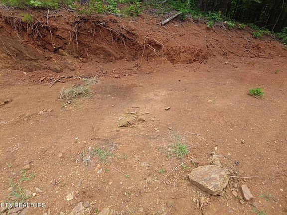 4th image of 1124 Galyon Rd