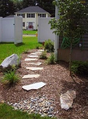 Backyard 1