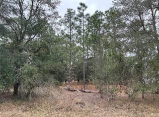 0 Avalon Rd #19, Dunnellon, FL 34431