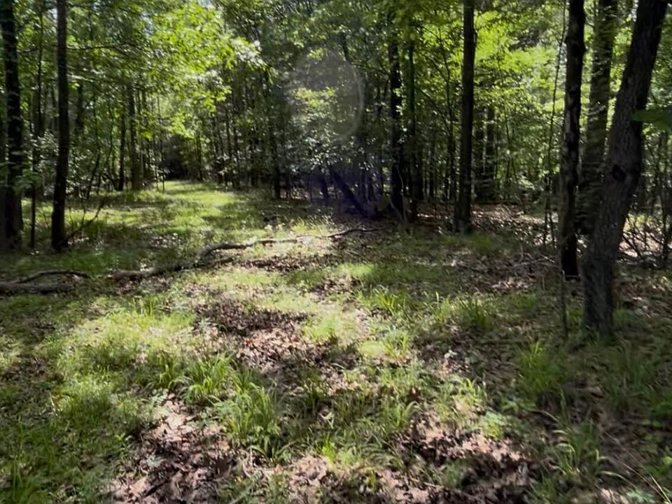 2nd image of 5135 Highway 51 S #6