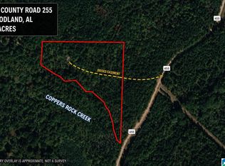 675 County Road 455 #675, Woodland, AL 36280