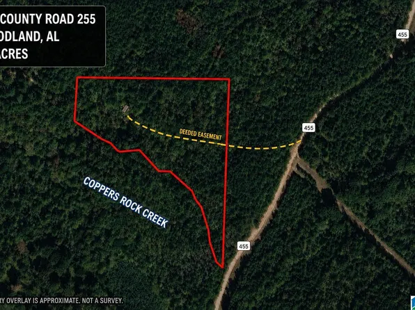 675 County Road 455 #675, Woodland, AL 36280