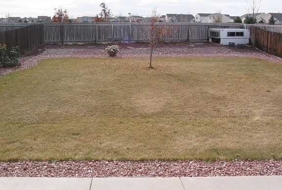 Large Backyard