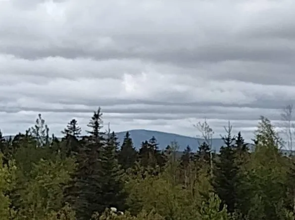145 Dyer Bay Wood Road, Steuben, ME 04680