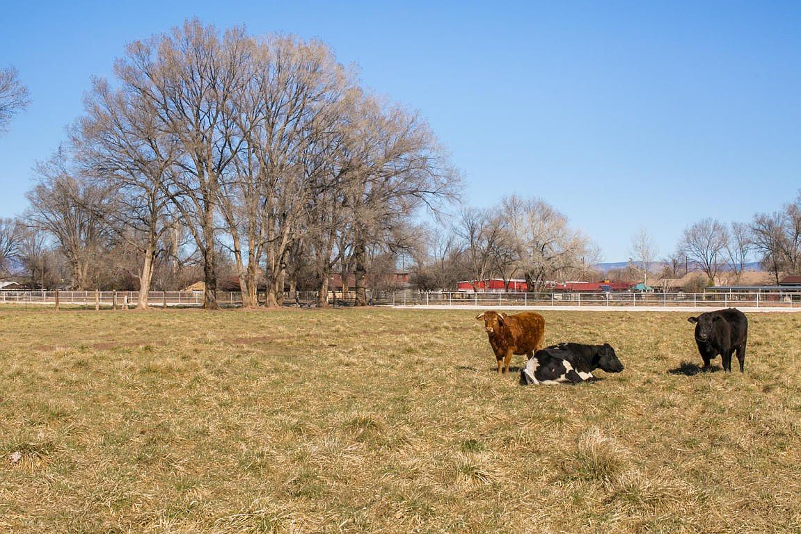1049 N Bosque Loop, Bosque Farms, NM 87068 Zillow
