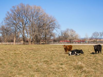 1049 N Bosque Loop, Bosque Farms, NM, 87068