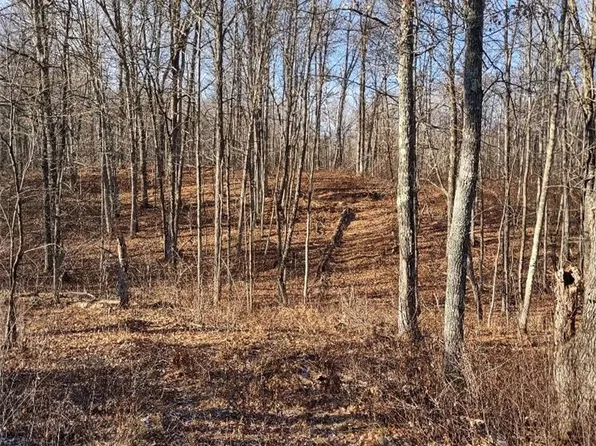 N8965 Pretty Road, Springbrook, WI 54875