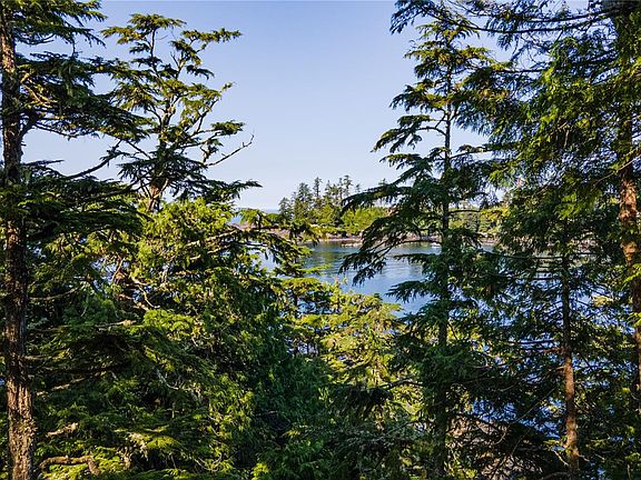 3rd image of 392 Reef Point Rd