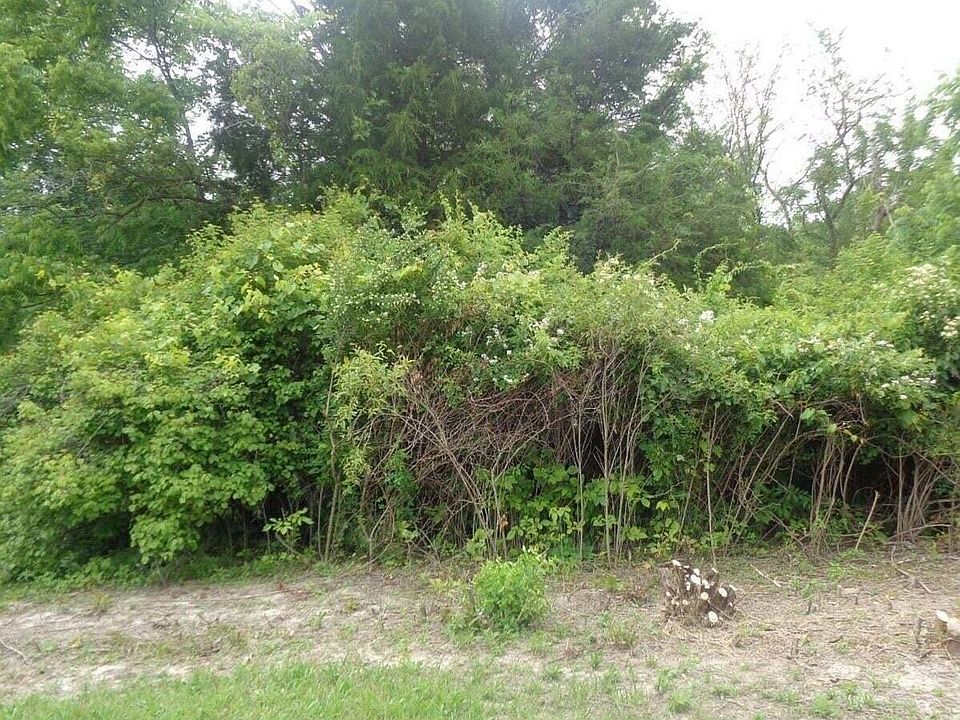 2nd image of 223 E Rand St