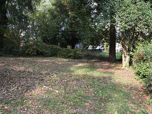 Open Back Yard