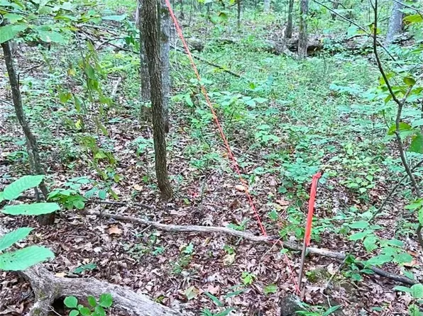 Clearwater Rd, Stover, MO 65078