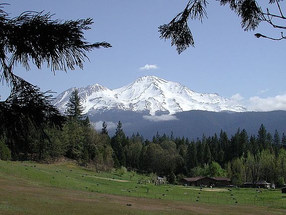 View from back o pasture