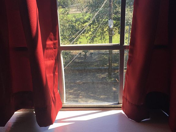 Den window overlooking park