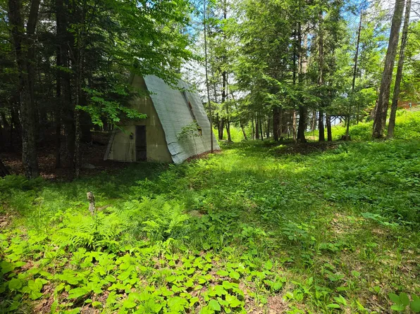 9026 Mushroom Ln, Pickerel, WI 54465